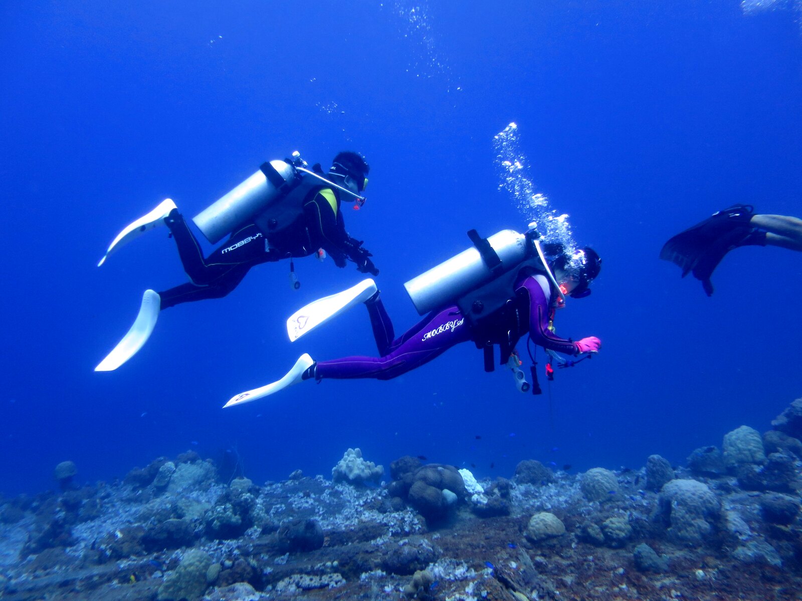 チュークの青い海を潜るダイバーたち