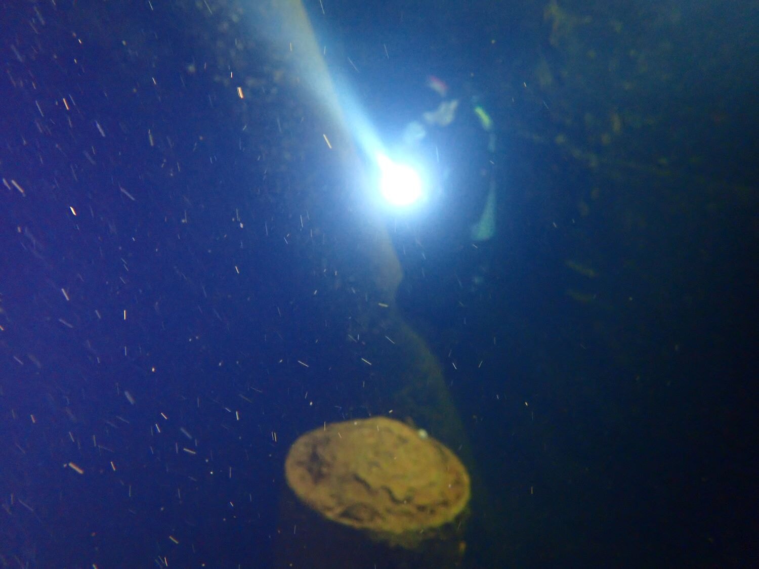 ライトで照らされた平安丸船倉の酸素式魚雷