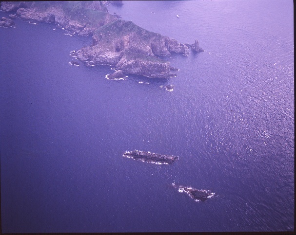 上空から見た島と岩礁