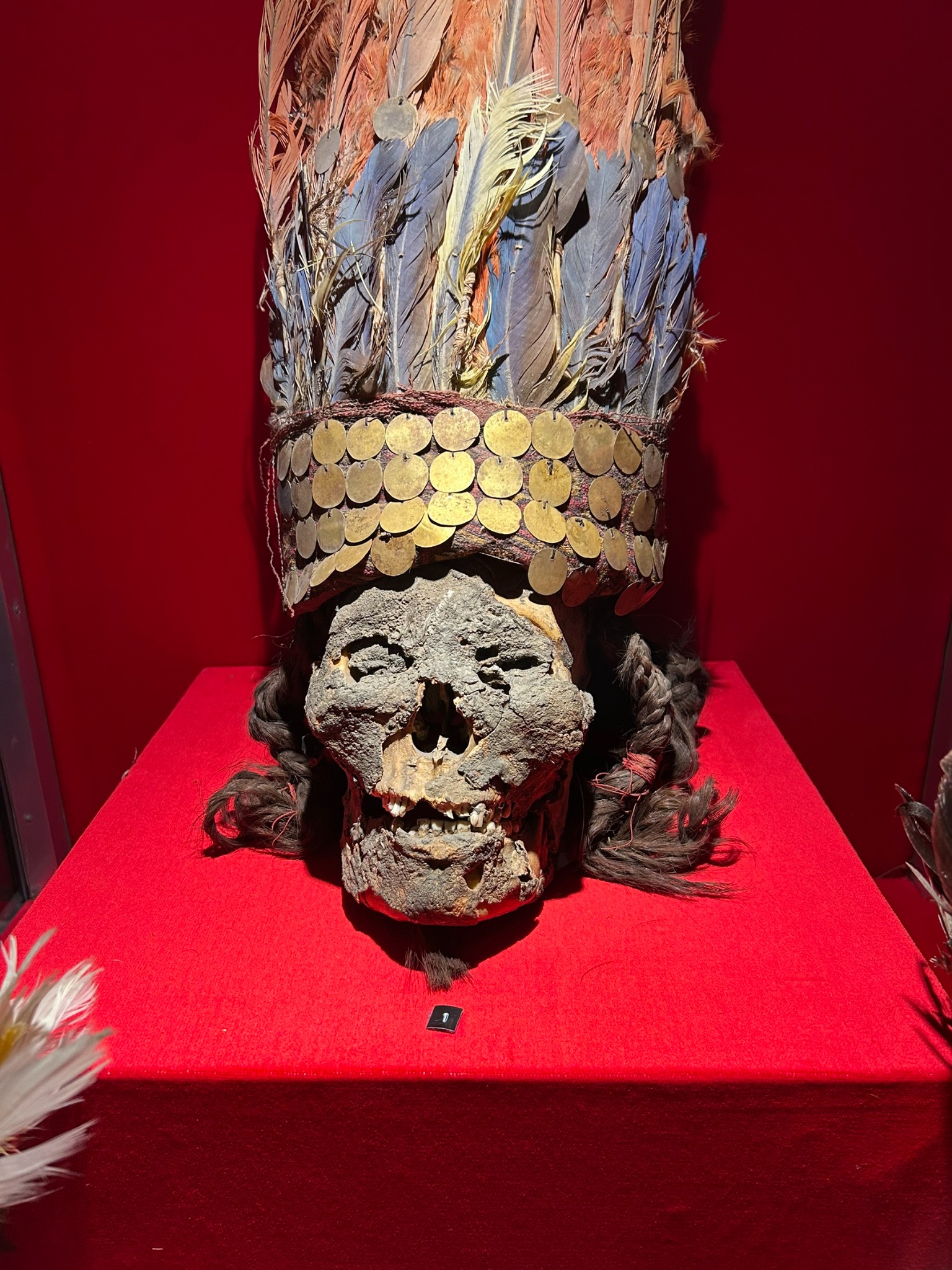 世界の武器博物館の甲冑展示
