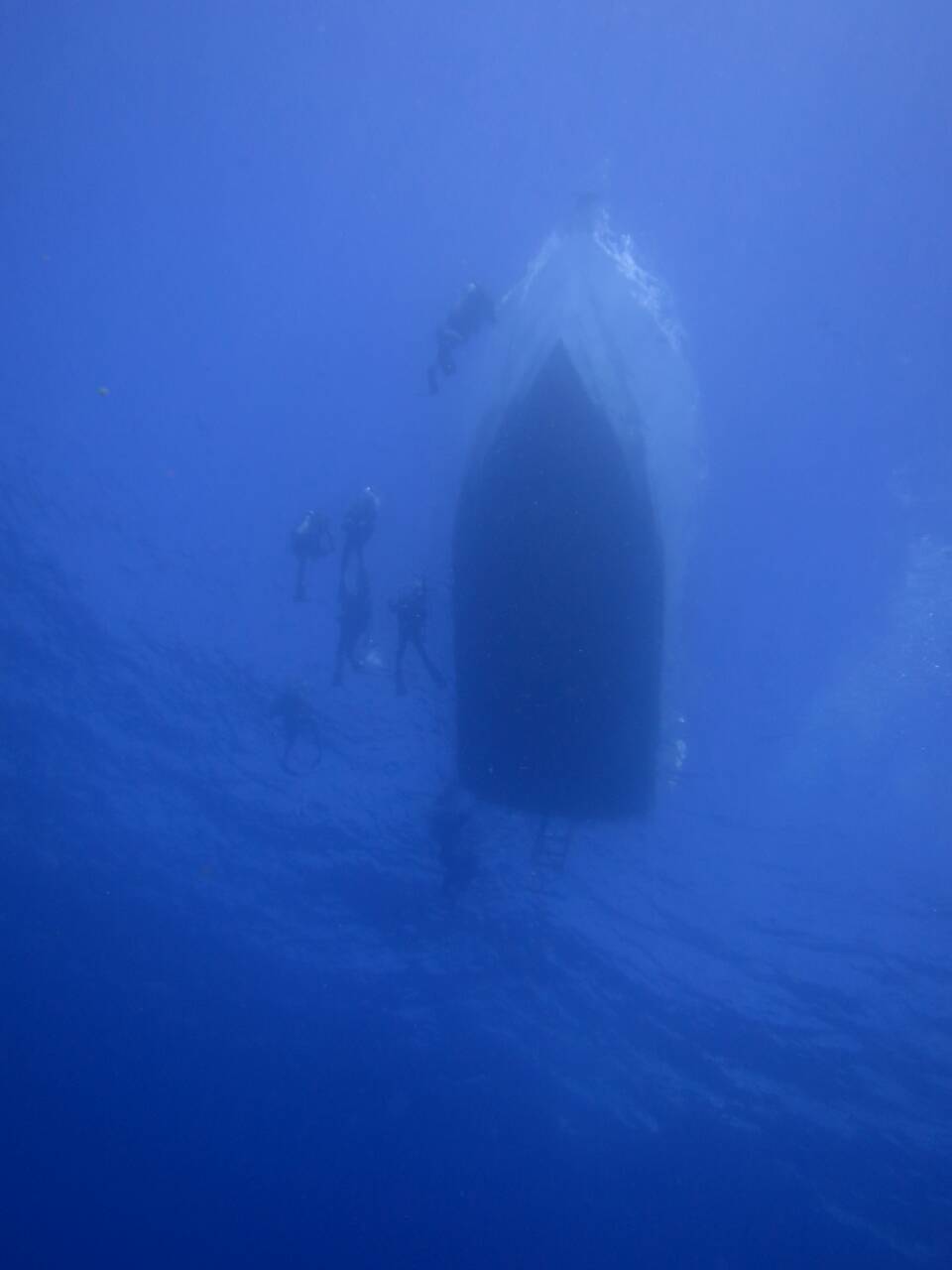 ハワイの海に沈む沈船の船首とダイバー