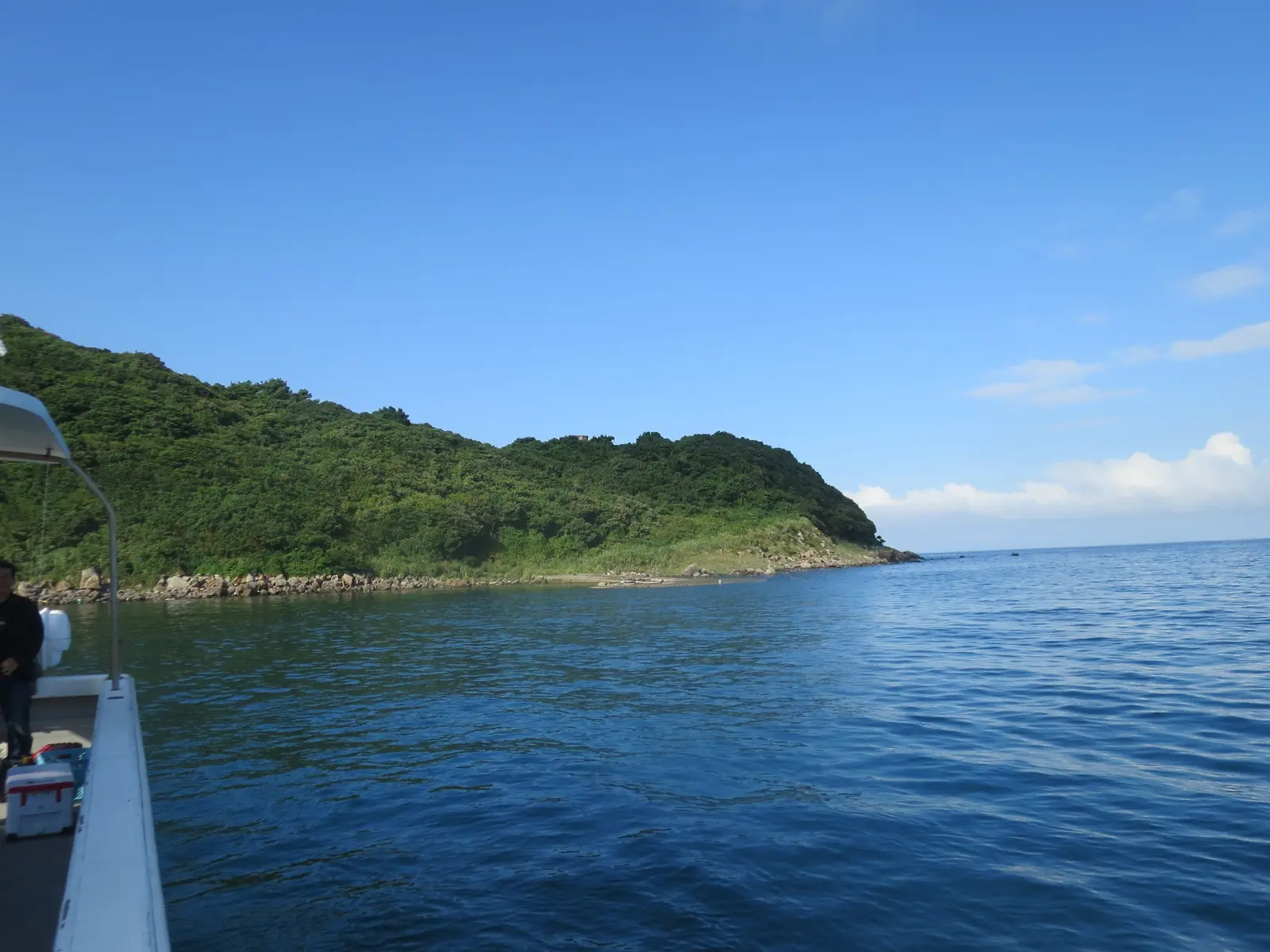 緑に覆われたオオビキ島の海岸