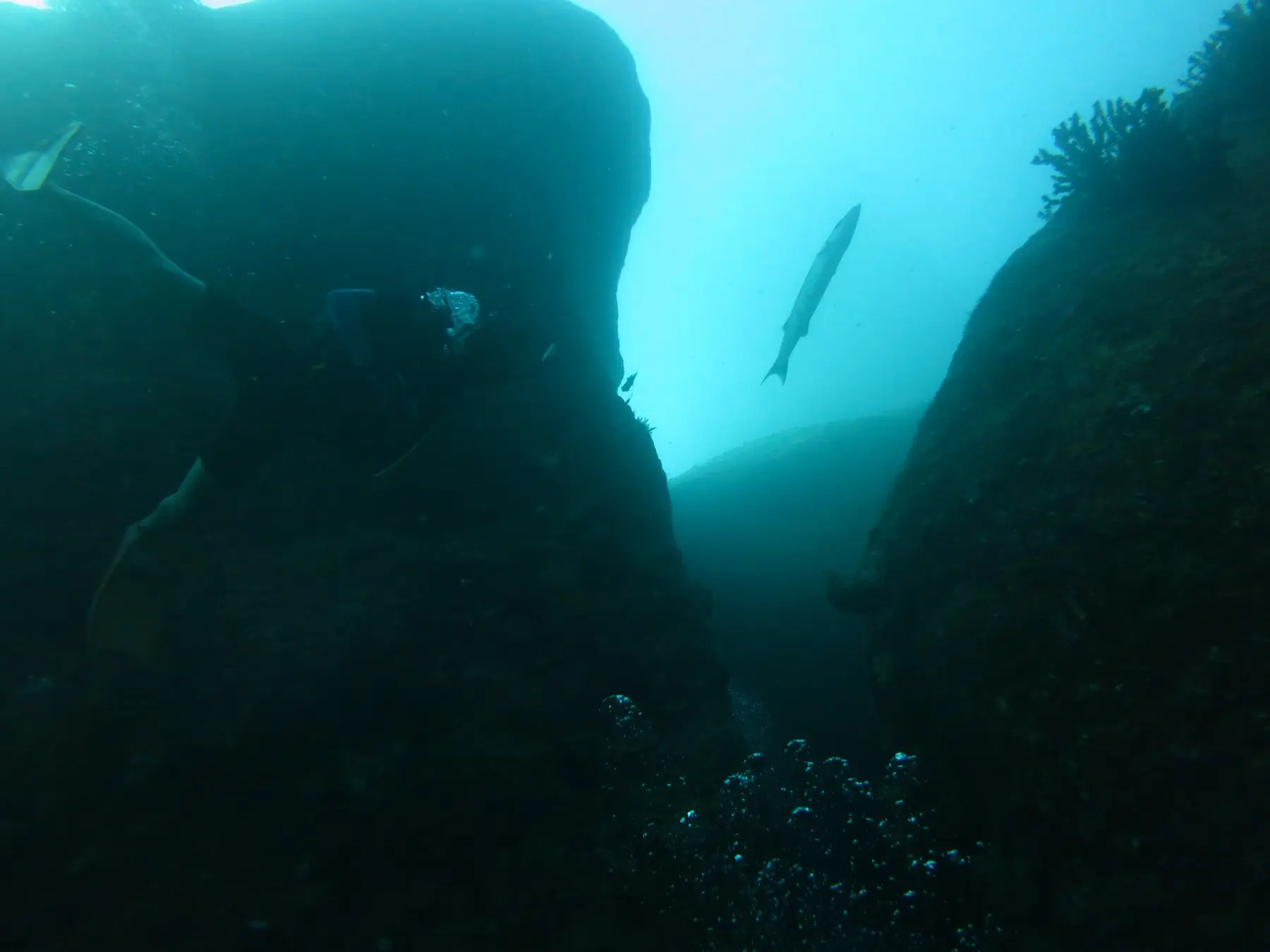 シミランの海中に広がる巨大な岩の地形