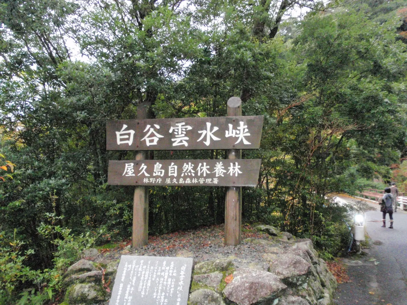 白谷雲水峡の入口